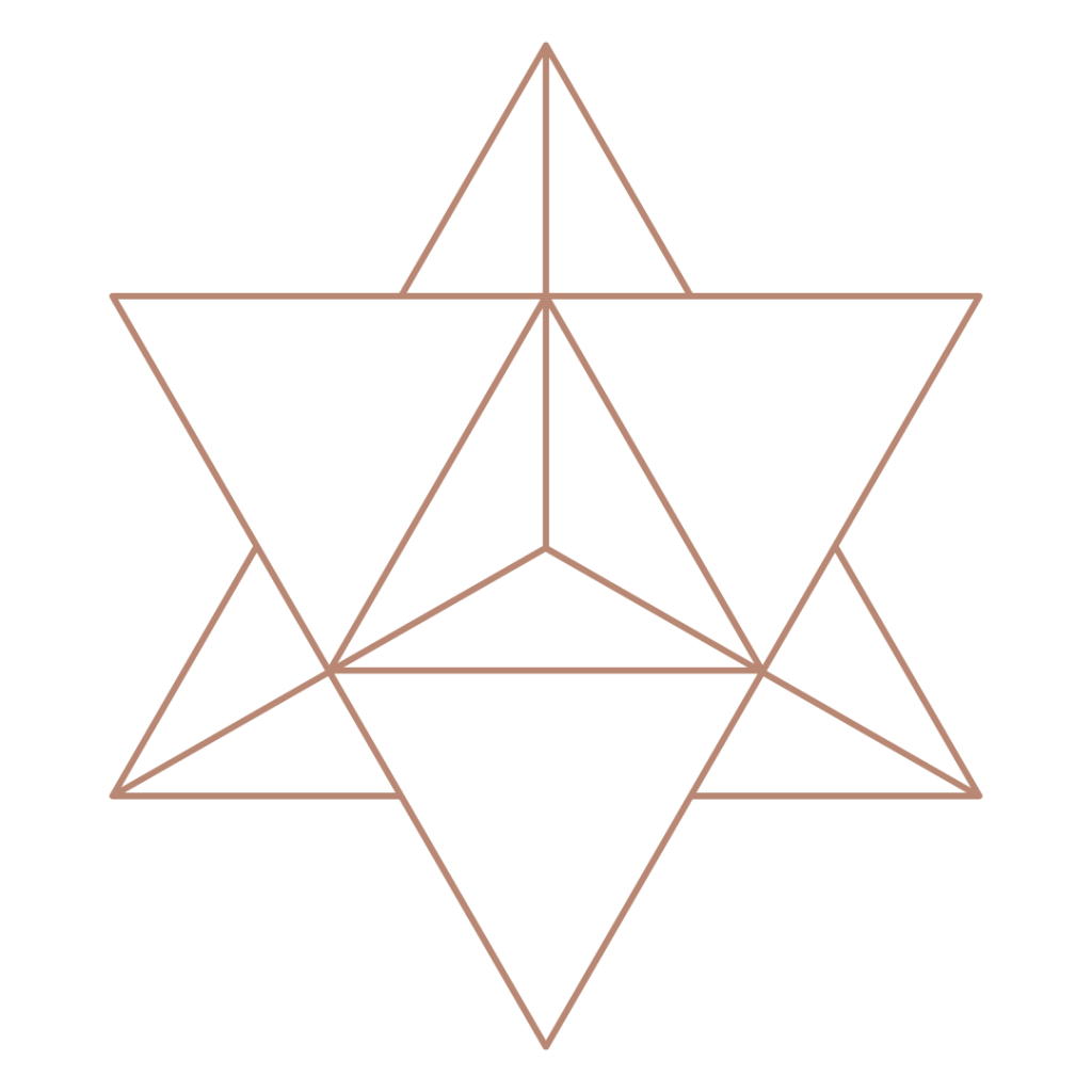 LOGO 24